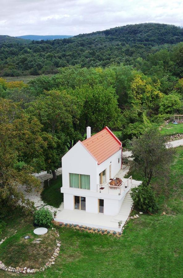 Baloveon Birtok Kaptalantoti エクステリア 写真